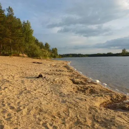 Koniklec U Veselskych Piskoven * Vlkov (Tabor)