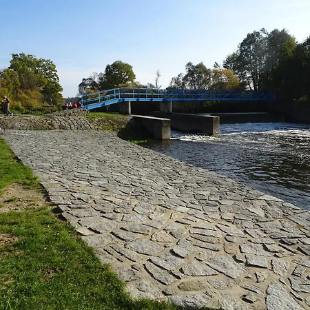 Koniklec U Veselskych Piskoven * Vlkov (Tabor)