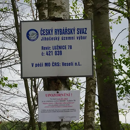 Koniklec U Veselskych Piskoven