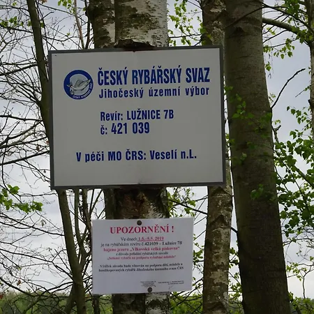 Koniklec U Veselskych Piskoven