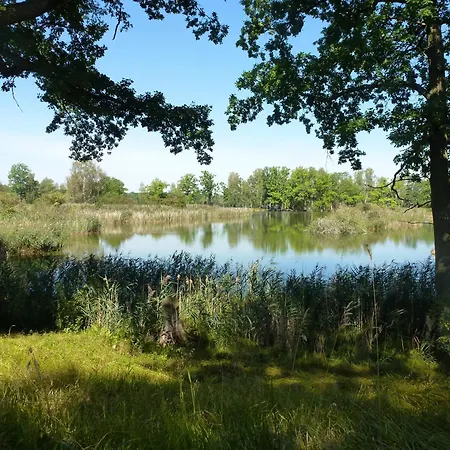 Koniklec U Veselskych Piskoven Campeggio Vlkov (Tabor)