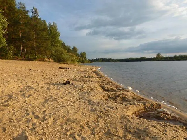 Koniklec U Veselskych Piskoven * Vlkov (Tabor)
