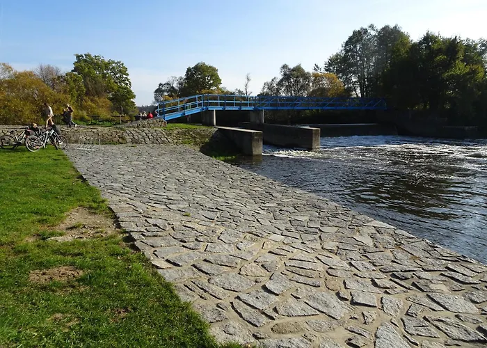 Koniklec U Veselskych Piskoven * Vlkov (Tabor)