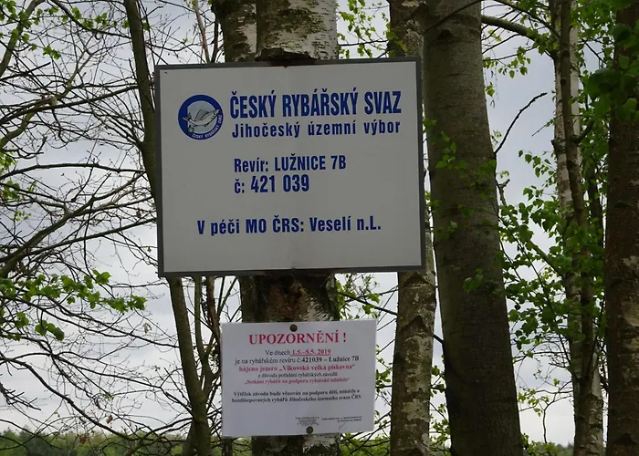 Koniklec U Veselskych Piskoven