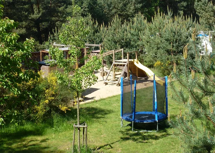 Koniklec U Veselskych Piskoven Vlkov (Tabor)