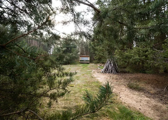 Koniklec U Veselskych Piskoven Campeggio Vlkov (Tabor)