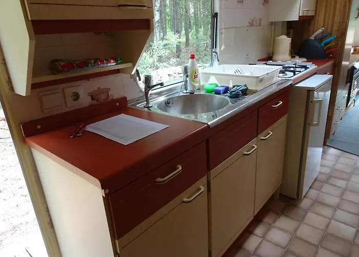 Koniklec U Veselskych Piskoven